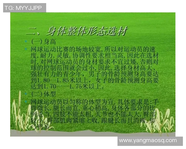 广州网球队耐力表现数据分析与训练策略探讨