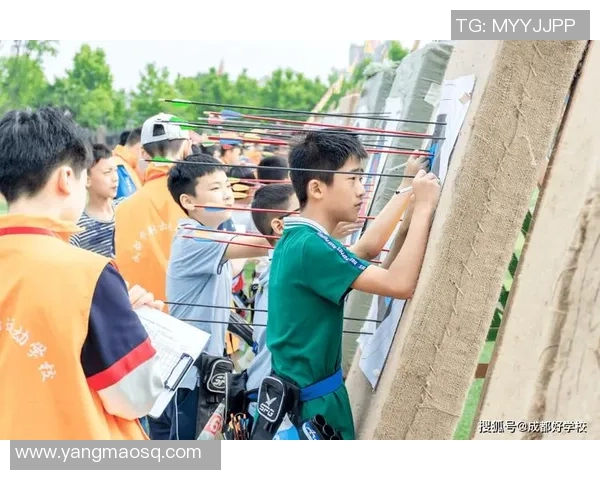 成都排球队在锦标赛中的团队协作展现出色值得赞赏与反思