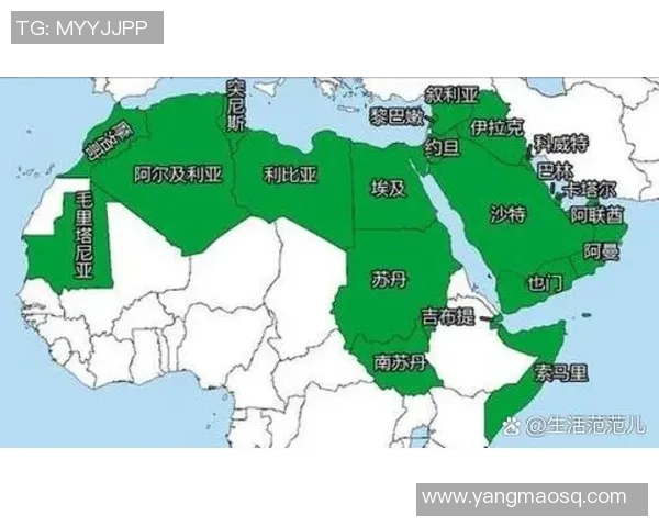 叙利亚与卡塔尔足球的崛起与发展对比分析及未来展望 叙利亚与卡塔尔足球的崛起与发展对比分析及未来展望